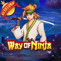 Way of Ninja